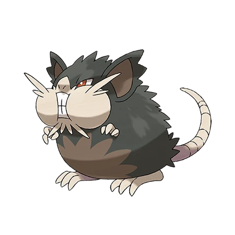 Raticate Totem Alola（totem-alola）