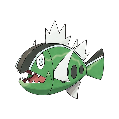 Basculin White Striped（white-striped）