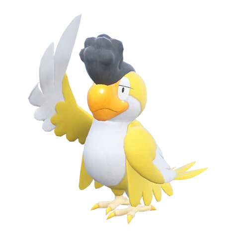 Squawkabilly Yellow Plumage（yellow-plumage）
