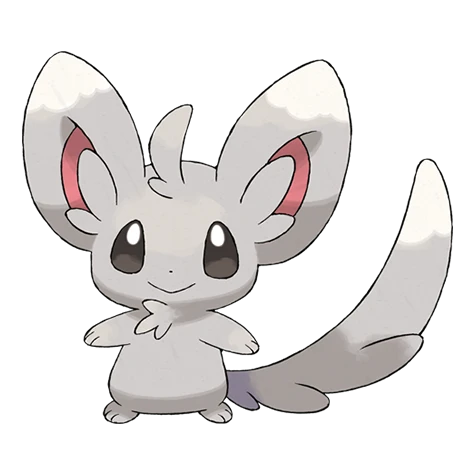 Minccino