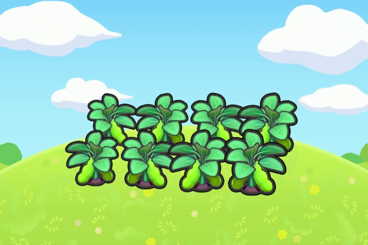 Fresh Veggie Field
