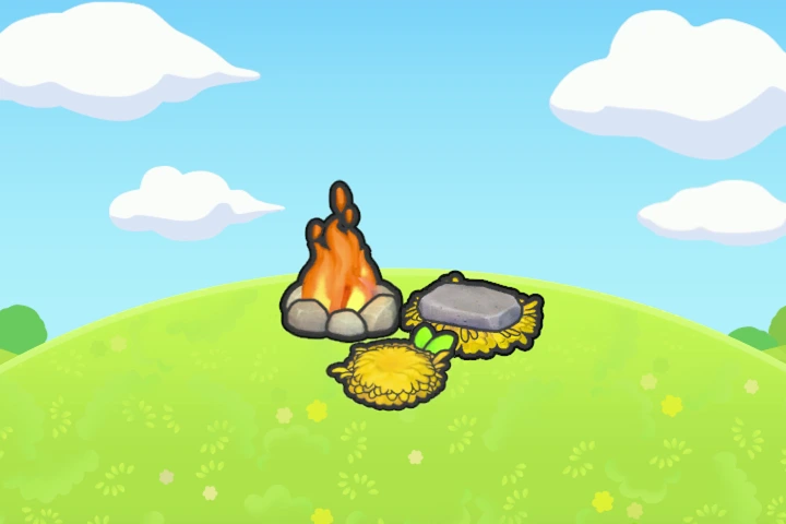 Campsite