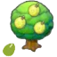 Aspear Seeds