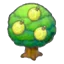 Aspear tree