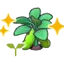 Bean sprout (Grow)
