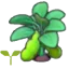 Bean sprout