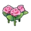 Beautiful flower (pink)