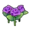 Beautiful flower (purple)