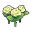 Beautiful flower (white)