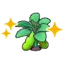 Blooming bean plant (Grow)