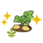 Blooming potato plant (Grow)
