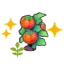 Blooming Tomato plant (Grow)