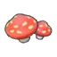 Cave mushrooms (outdoor)