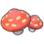 Cave mushrooms