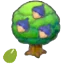 Chesto Seeds