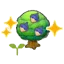 Chesto tree sapling (Grow)