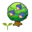 Chesto tree sapling