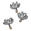 Cotton Spores