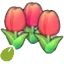 Cute-flower seeds