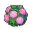 Damp hedge (pink)