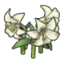 Elegant flower