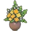 Extravagant flowers