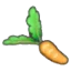 Fresh carrot