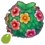 Healthy-hedge seeds