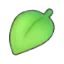 Leaf