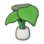 Leafy plant