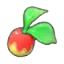 Leppa Berry