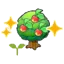 Leppa tree sapling (Grow)