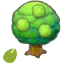 Lum seeds