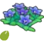Mountain-flower seeds
