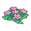 Mountain flowers (pink)