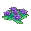 Mountain flowers (purple)