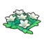 Mountain flowers (white)
