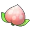 Pecha Berry