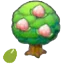 Pecha Seeds