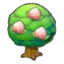 Pecha tree