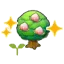 Pecha tree sapling (Grow)