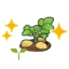 Potato sprout (Grow)