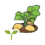 Potato sprout