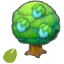 Rawst seeds