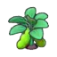 Ripe bean plant