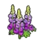 Robust flower (purple)