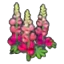 Robust flower