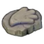 Sail Fossil