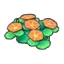 Seashore flowers (orange)