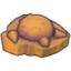 Skull Fossil
